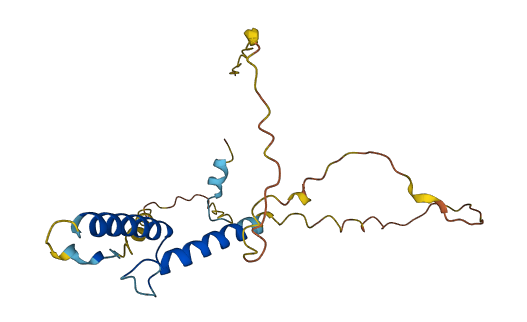 HAND1 3D structure