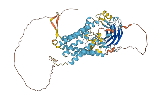 CLPTM1 3D structure