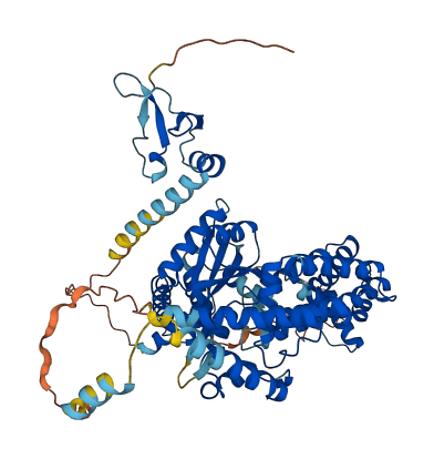 ZBED1 3D structure