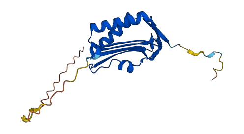 MOCS2 3D structure