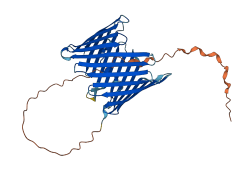 TOMM40 3D structure