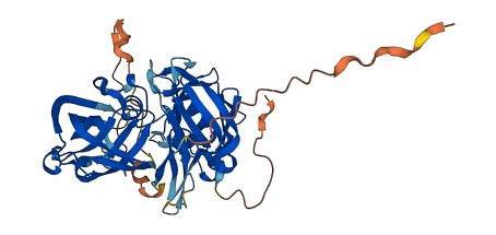 NAPSA 3D structure