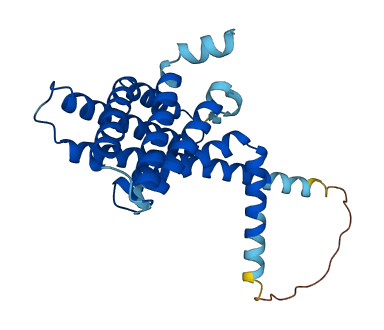 PEX11B 3D structure