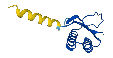 DNAL4 3D structure