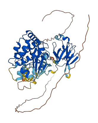 CHEK2 3D structure