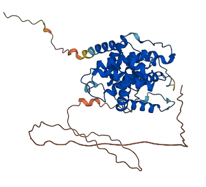 CCNE2 3D structure
