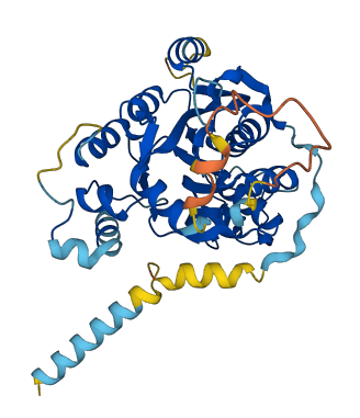 B3GALT4 3D structure