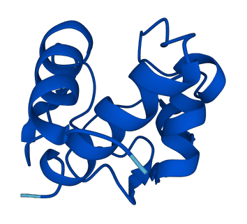 Cyct 3D structure