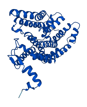 MT-CYB 3D structure