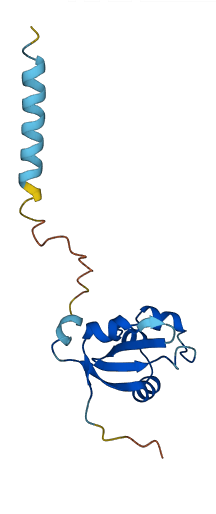 CYB5A 3D structure