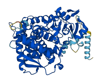 Cyp2b1 3D structure