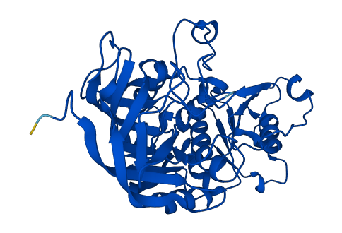 Adh1 3D structure