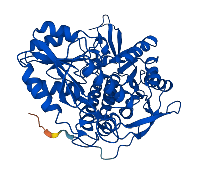 ALDH1A1 3D structure