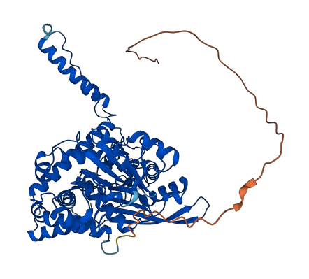 GLUD1 3D structure