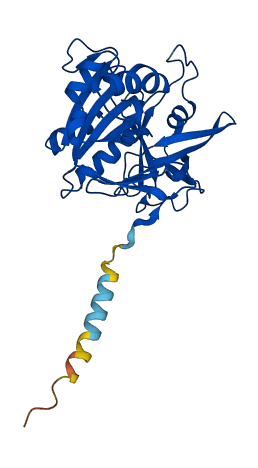 CYB5R3 3D structure