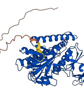 GSR 3D structure