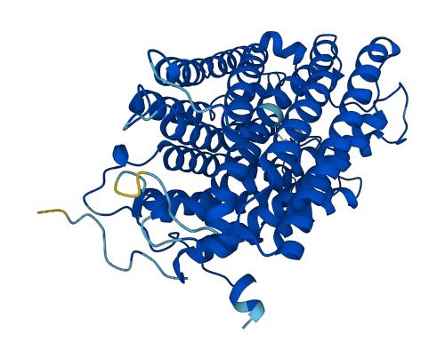 MT-CO1 3D structure