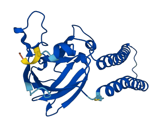 MT-CO2 3D structure