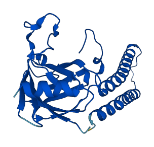 Mtco2 3D structure