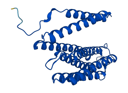 MT-CO3 3D structure