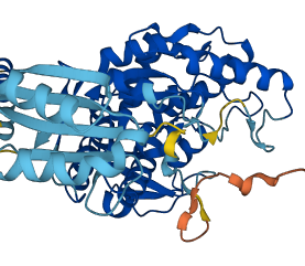 PAH 3D structure