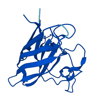 SOD1 3D structure