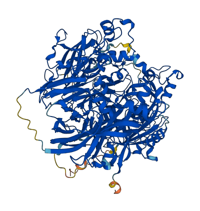 CP 3D structure