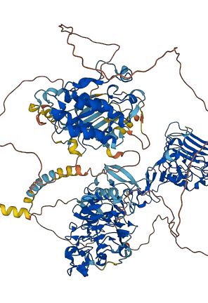EGFR 3D structure