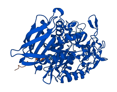 Amy1 3D structure