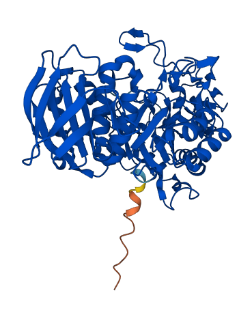 Amy2 3D structure