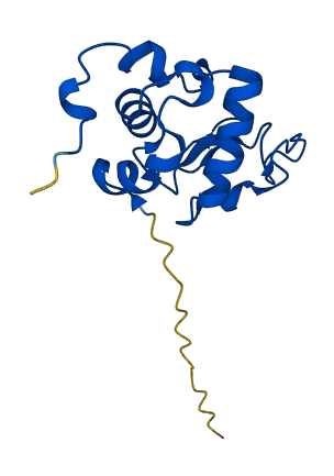LALBA 3D structure