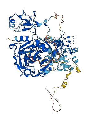 F2 3D structure