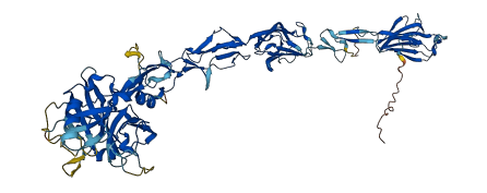 C1R 3D structure