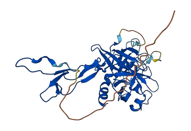 HPR 3D structure