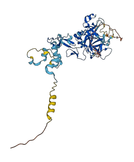 F9 3D structure