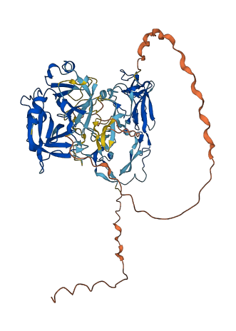 F12 3D structure