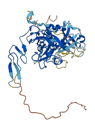 PLAU 3D structure