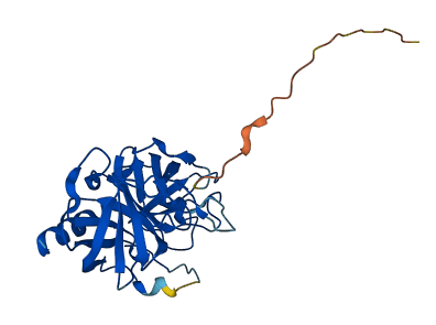 Klk1b1 3D structure