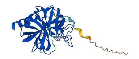 Klk1b4 3D structure