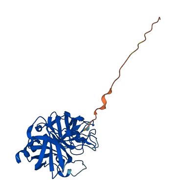 Ngfg 3D structure