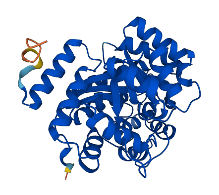 ADA 3D structure