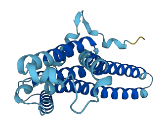MT-ATP6 3D structure
