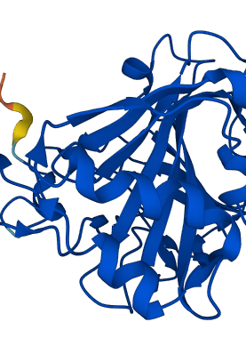 CA1 3D structure