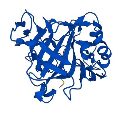 CA2 3D structure