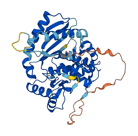 OAS1 3D structure