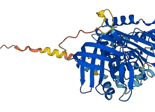 AGT 3D structure