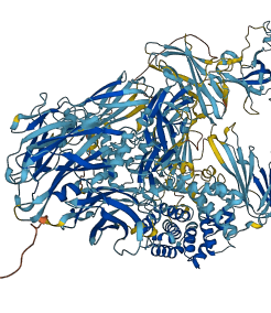 C3 3D structure