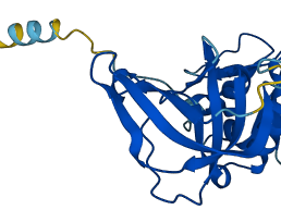 TIMP1 3D structure