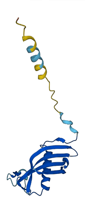 CST3 3D structure
