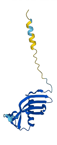 CST4 3D structure